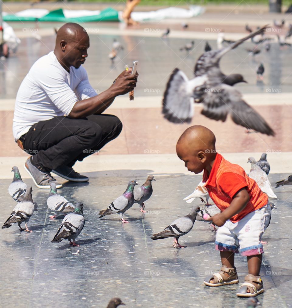 Father, Son and Pigeons 