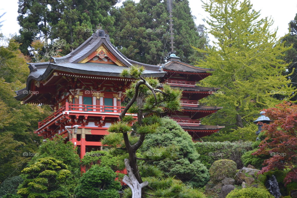 Japanese architecture  