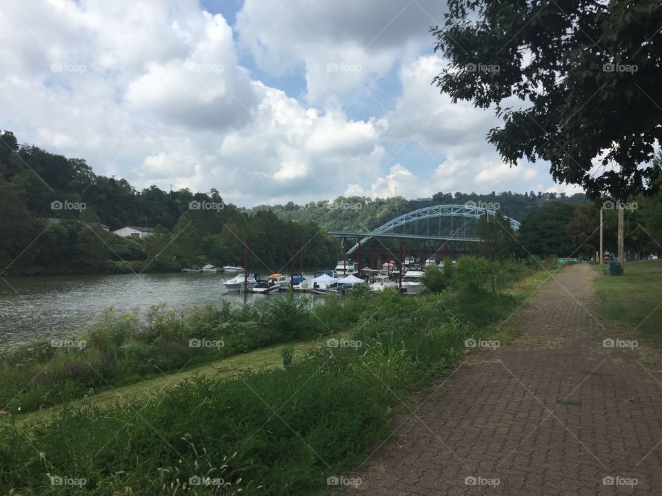 No Person, Tree, Water, Landscape, River