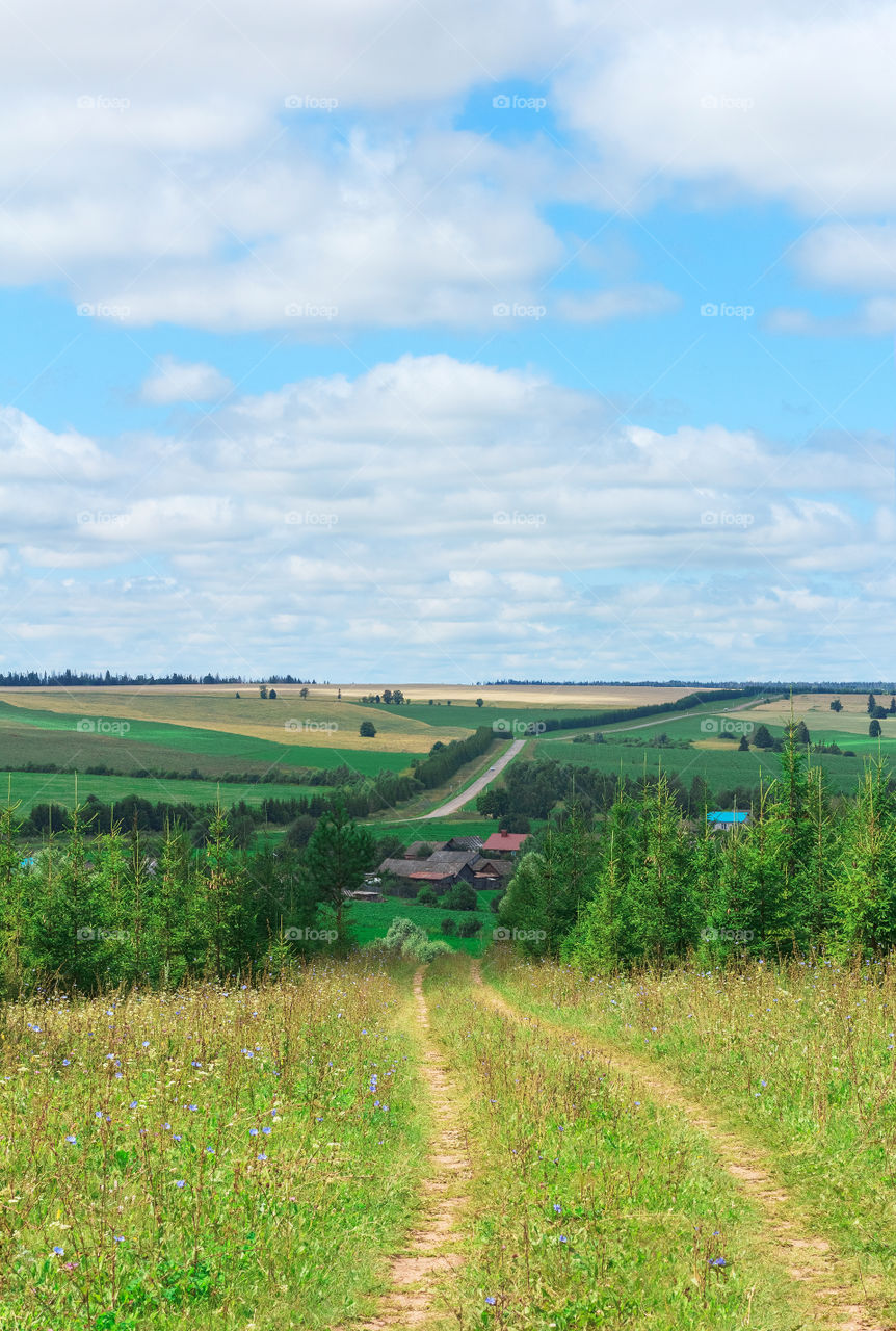 Country landscap