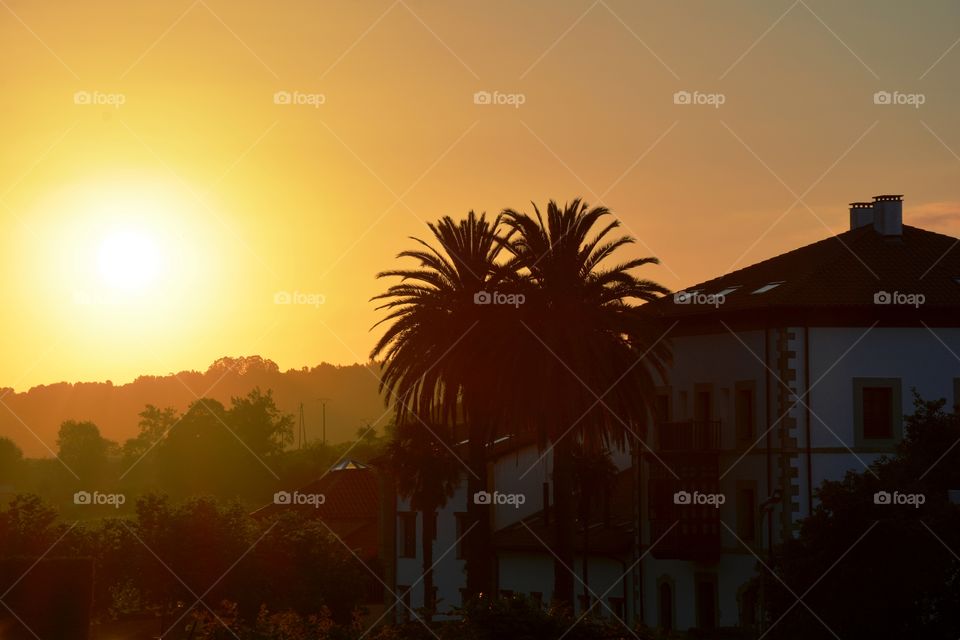 the sunset with two palm trees and a house