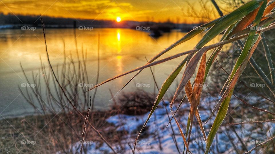 frosty sunrise