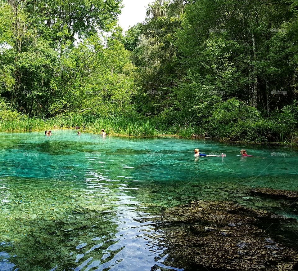 The deep blue clear water of Ichetucknee Springs, Fort White, Florida