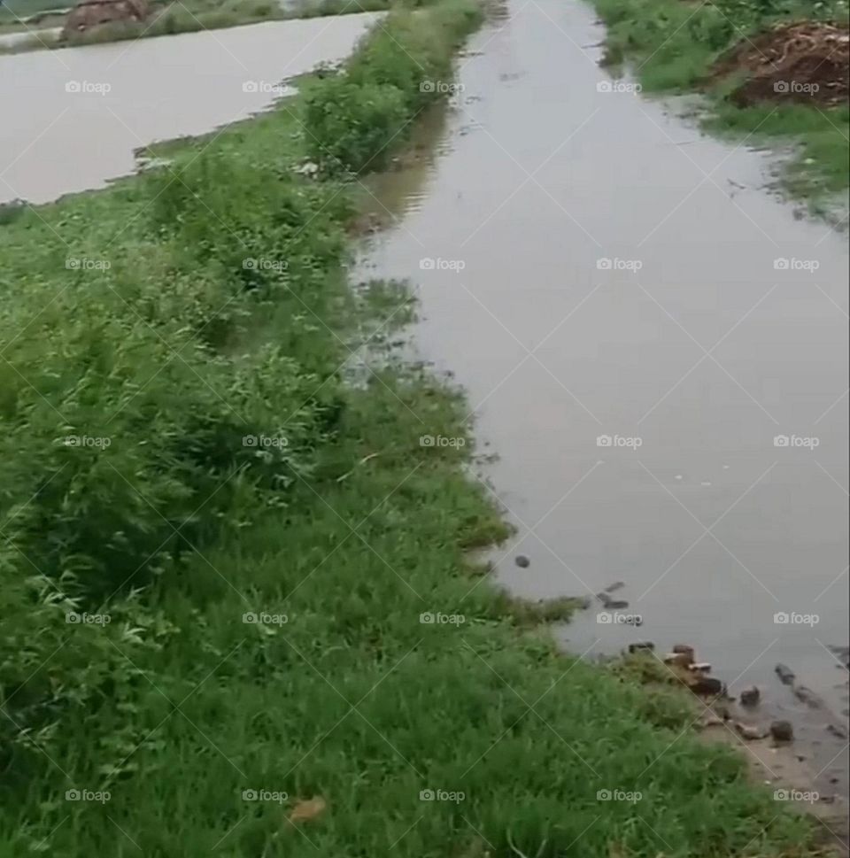 A most beautiful and attractive view.