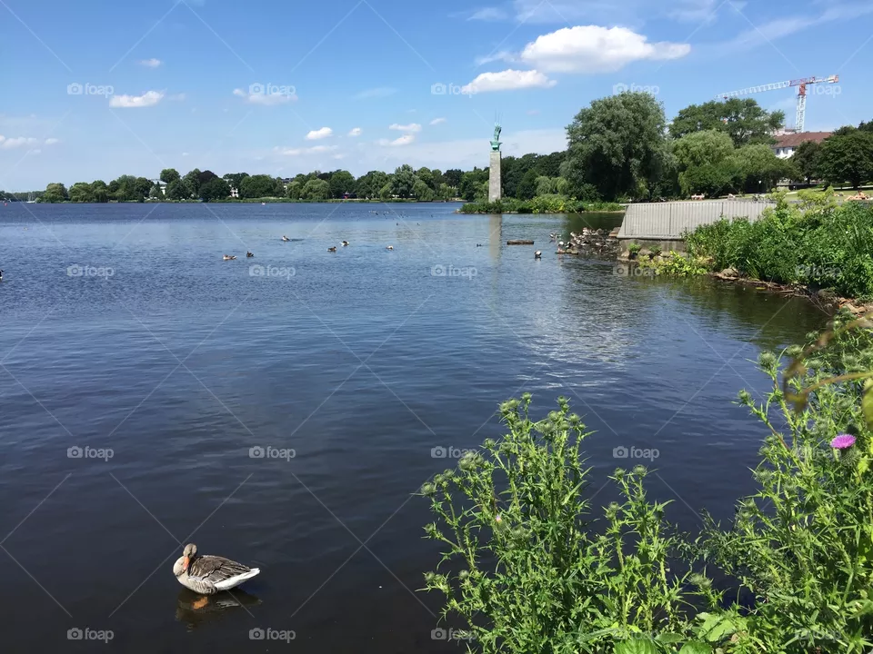 Alster 