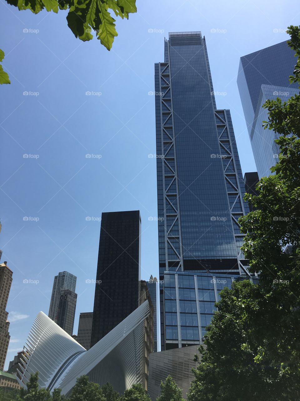 Freedom Tower in New York City