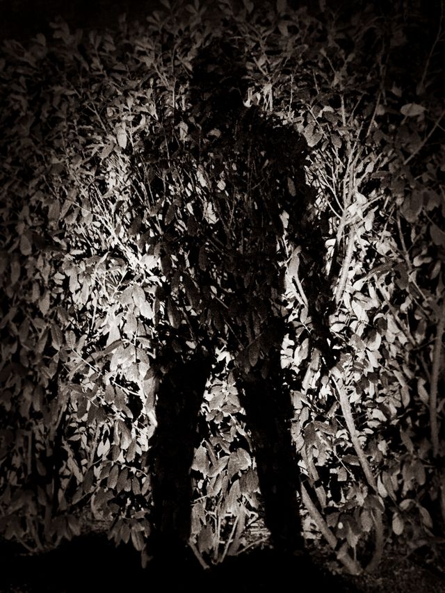 Black and white shadow 