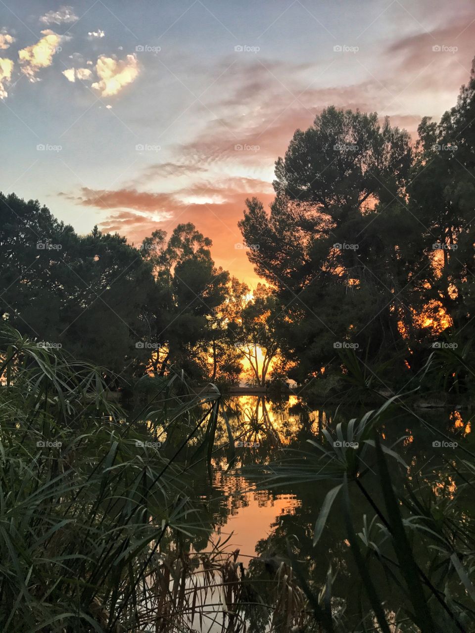 The sunset reflecting on the lake was magic! This was taken in Debs Park while hiking. 