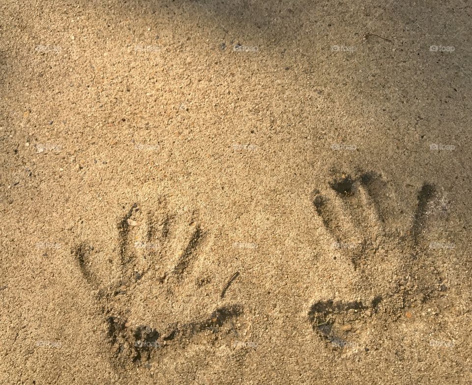 Hand prints in cement