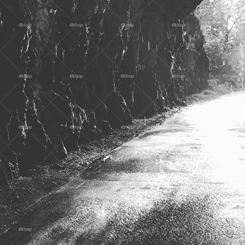 Walking through the past