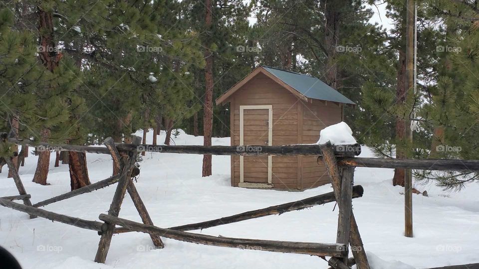 Coal or wood shed or outhouse