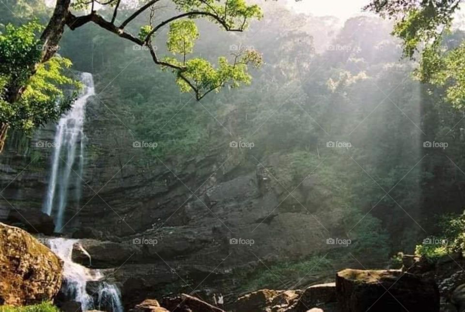 beautiful morning near a waterfall