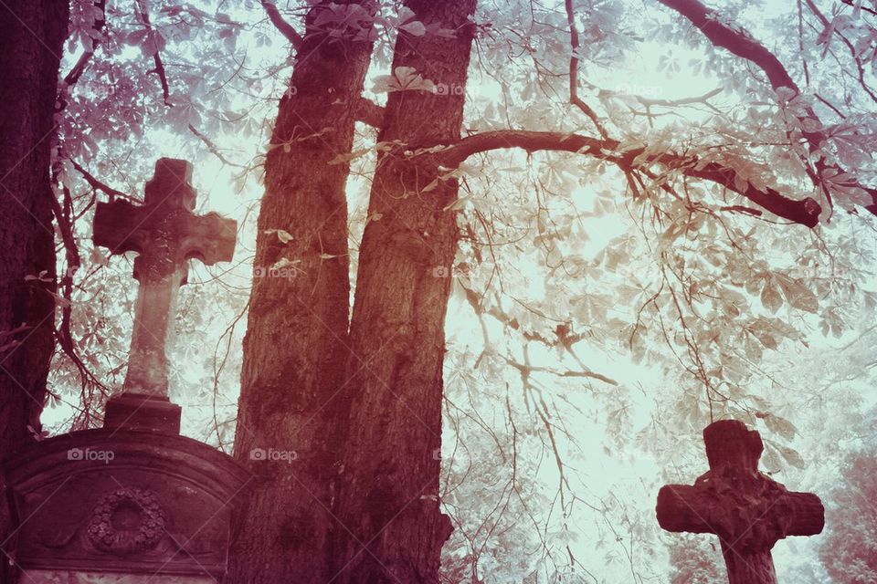 Old Crosses at the cemetery