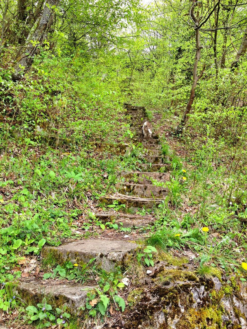 old stairs