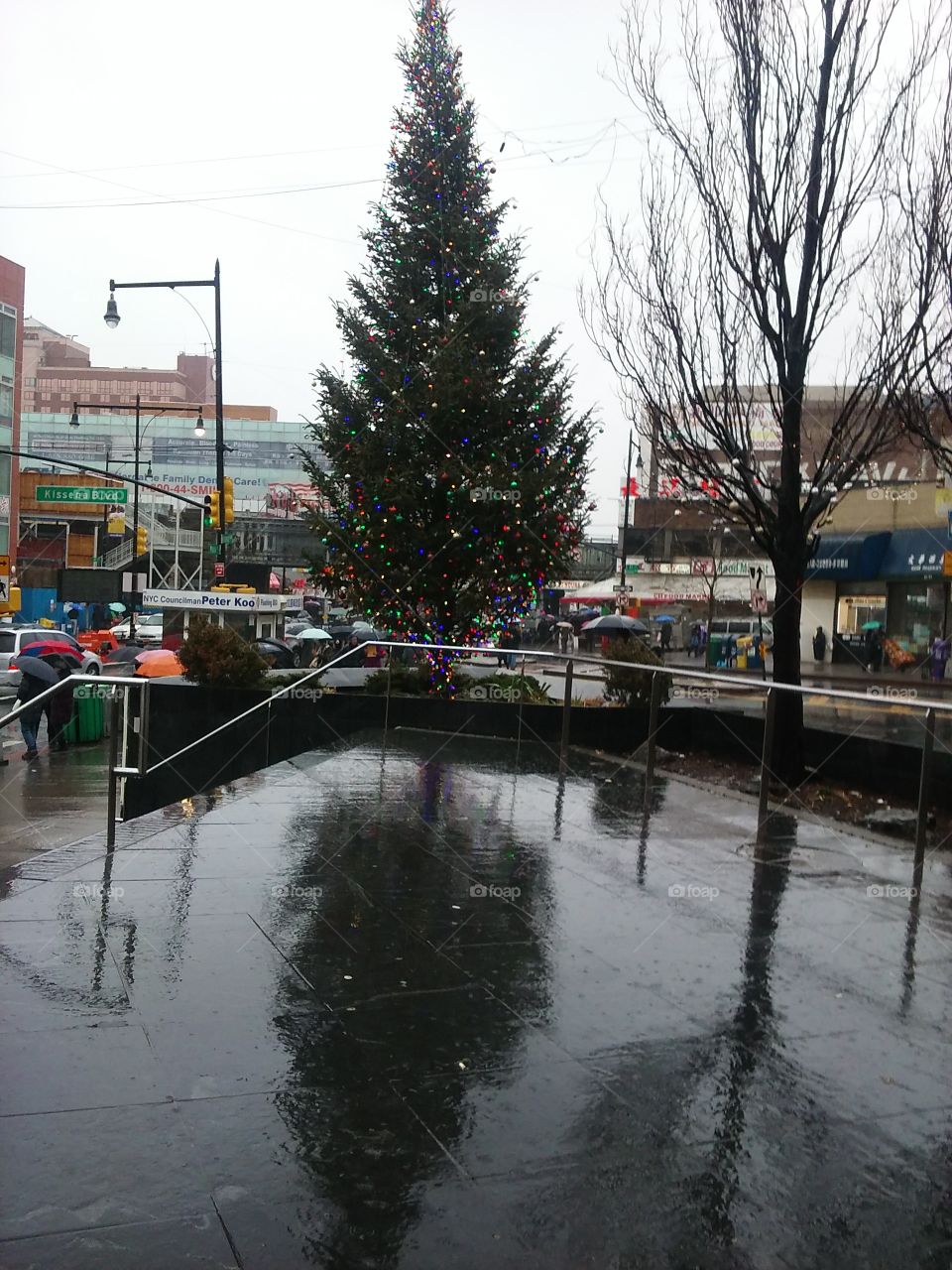 Incredible Reflections