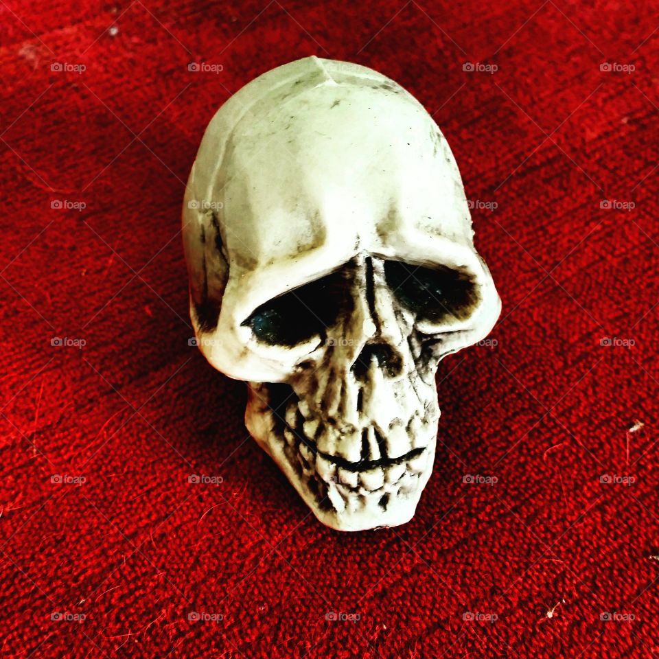 Skull. Skull