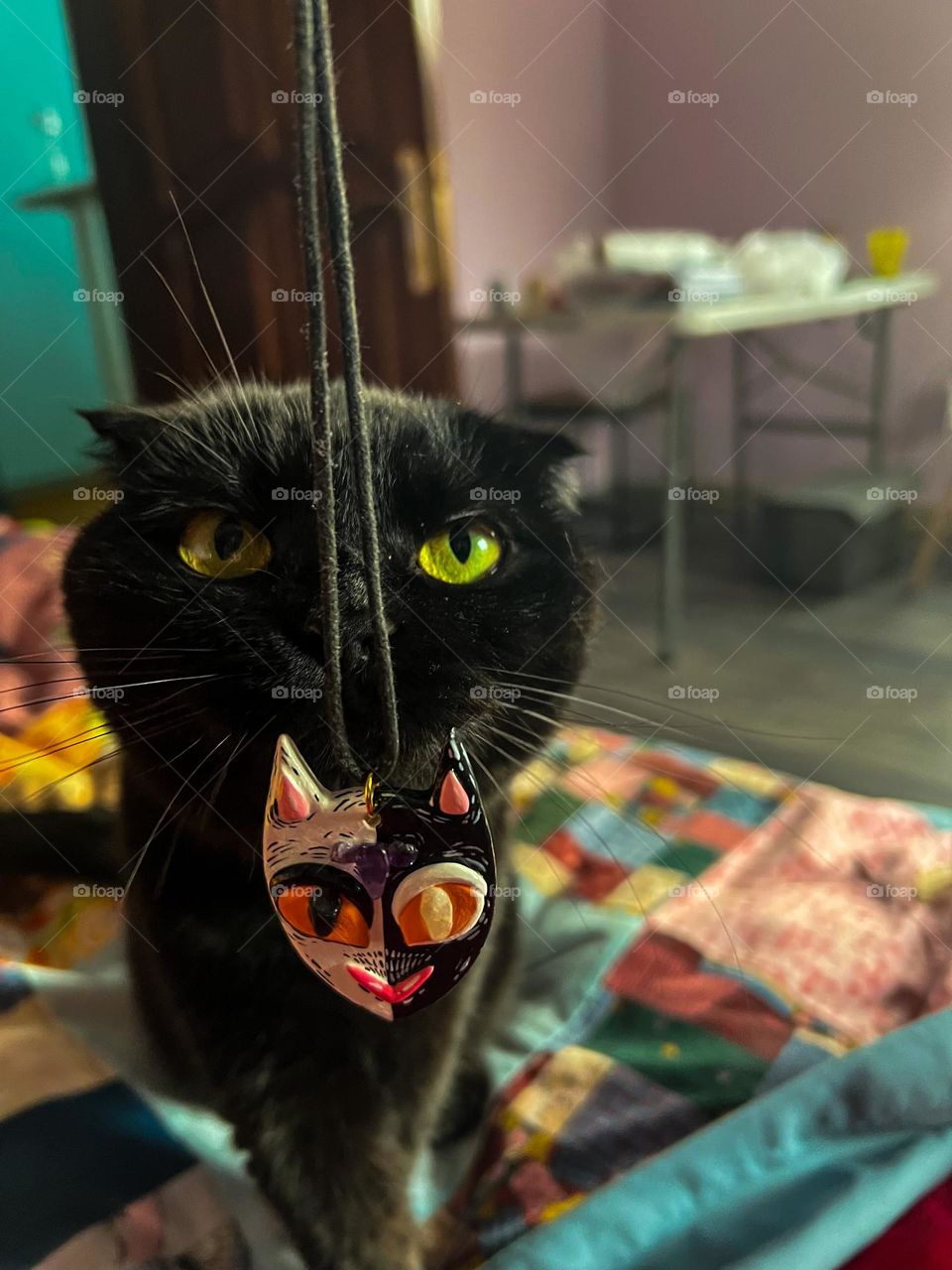 Curious little black cat with golden eyes sniffs Kitty pendant and tries to figure out what is it 