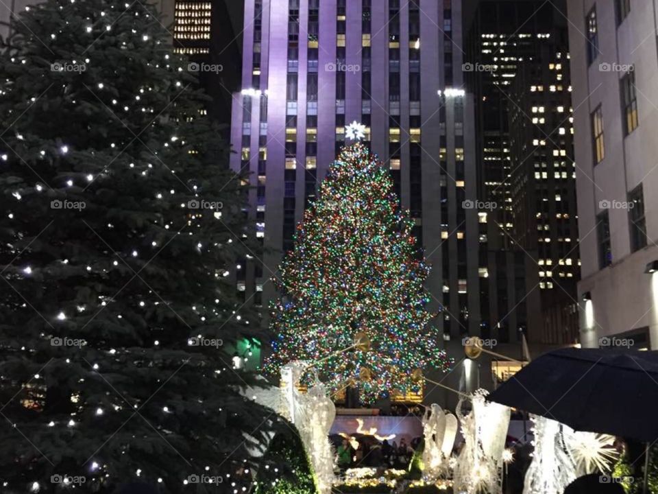 NYC Christmas Lights 