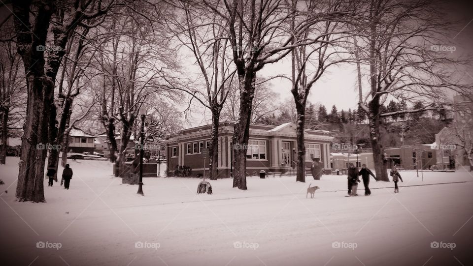 Oregon City Library