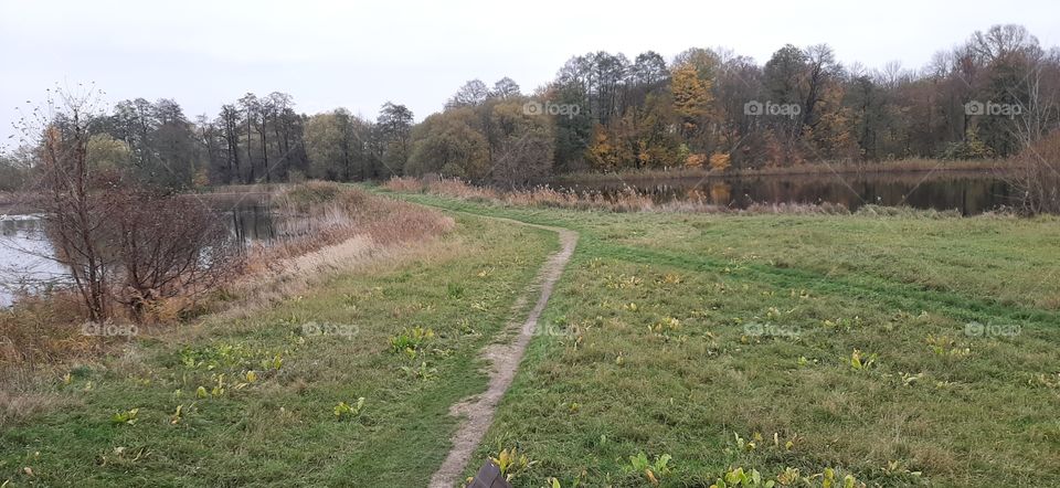 Path around ponds in autumn