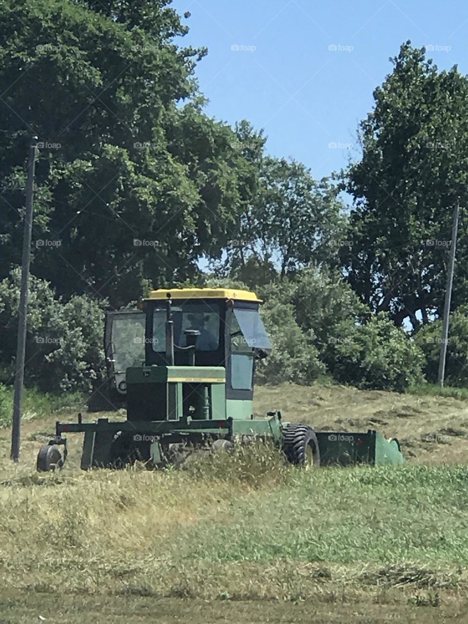 Harvest Time
