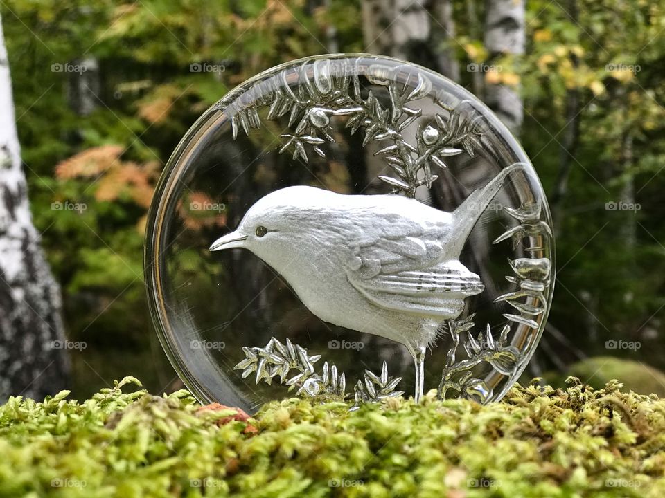 Glass bird