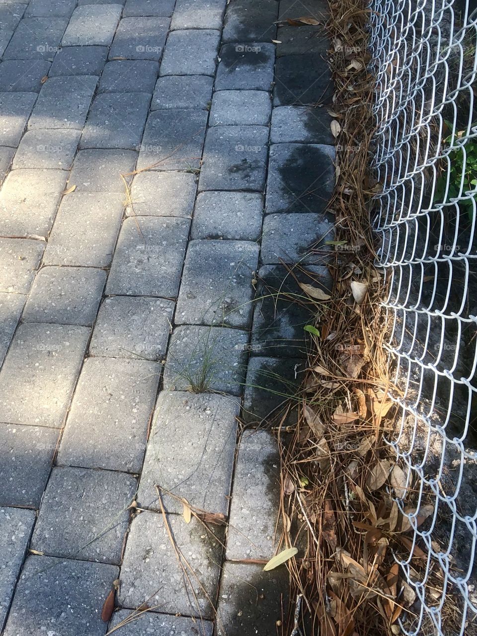 Leaf litter blown against fence