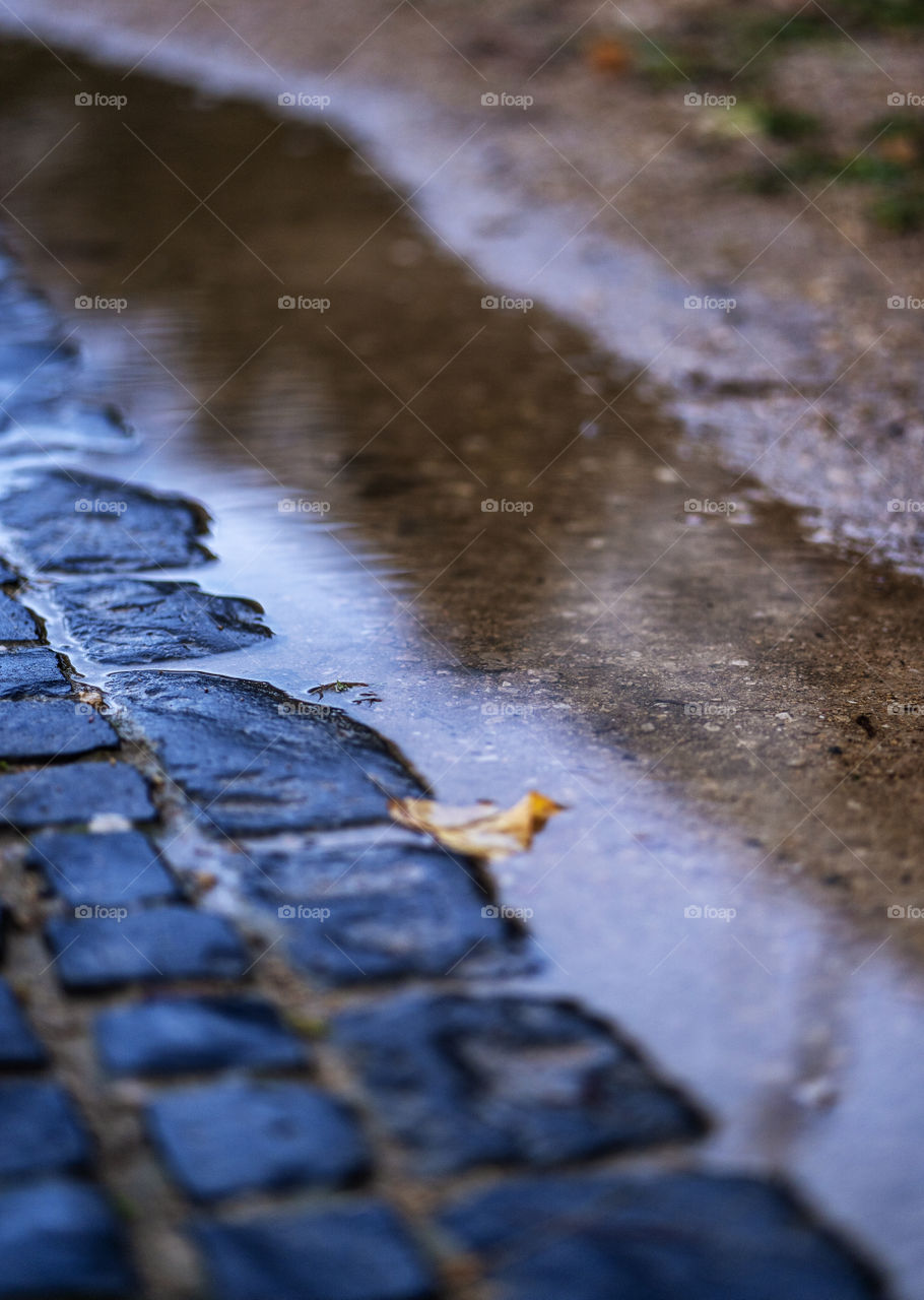 Cobblestones and a puddle of water with a fallen leaf. Autumn is at our doorstep.