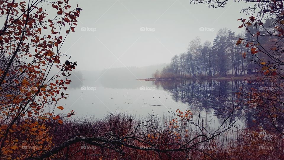 Foggy autumn evening at the lake.