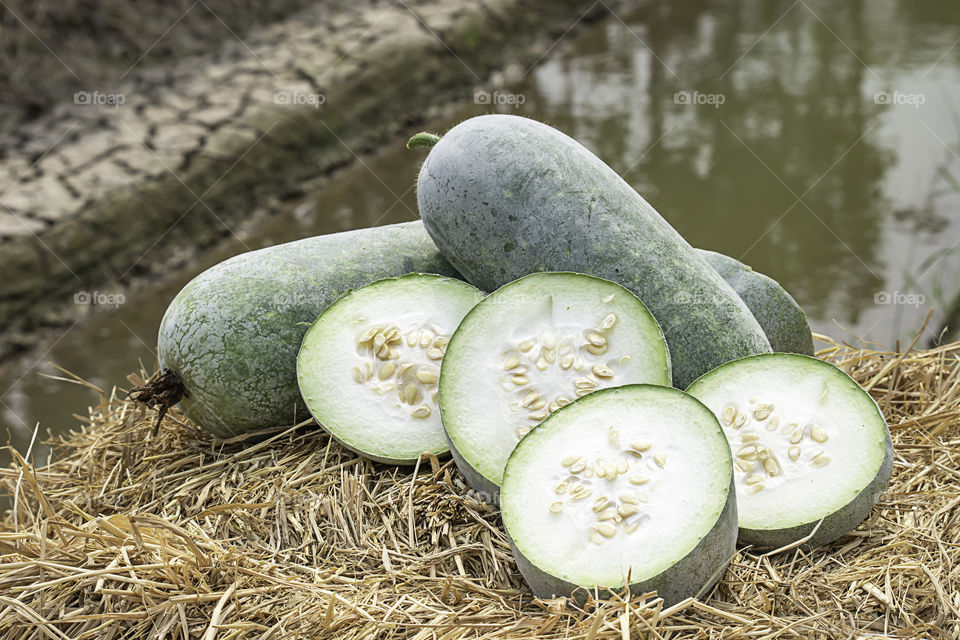 Winter melon is cut into pieces on the straw.