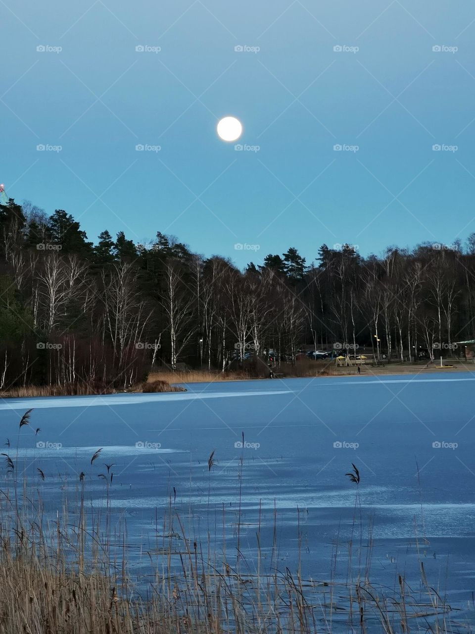 Full moon over the lake