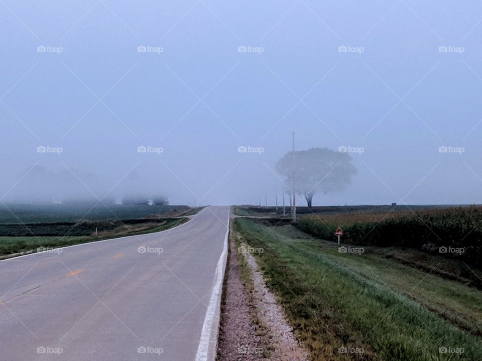 Beware the mists.....