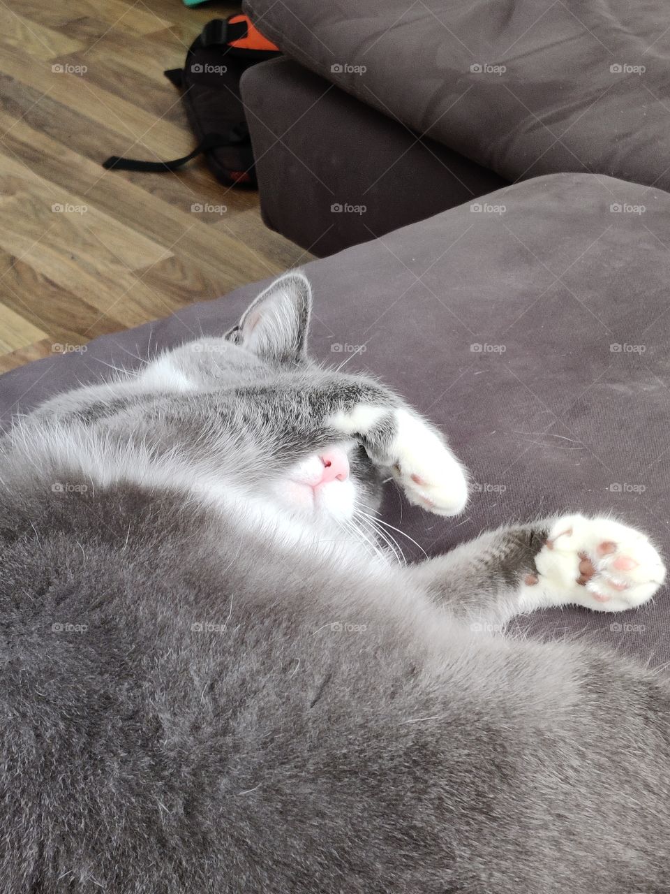 Please shut off the sun