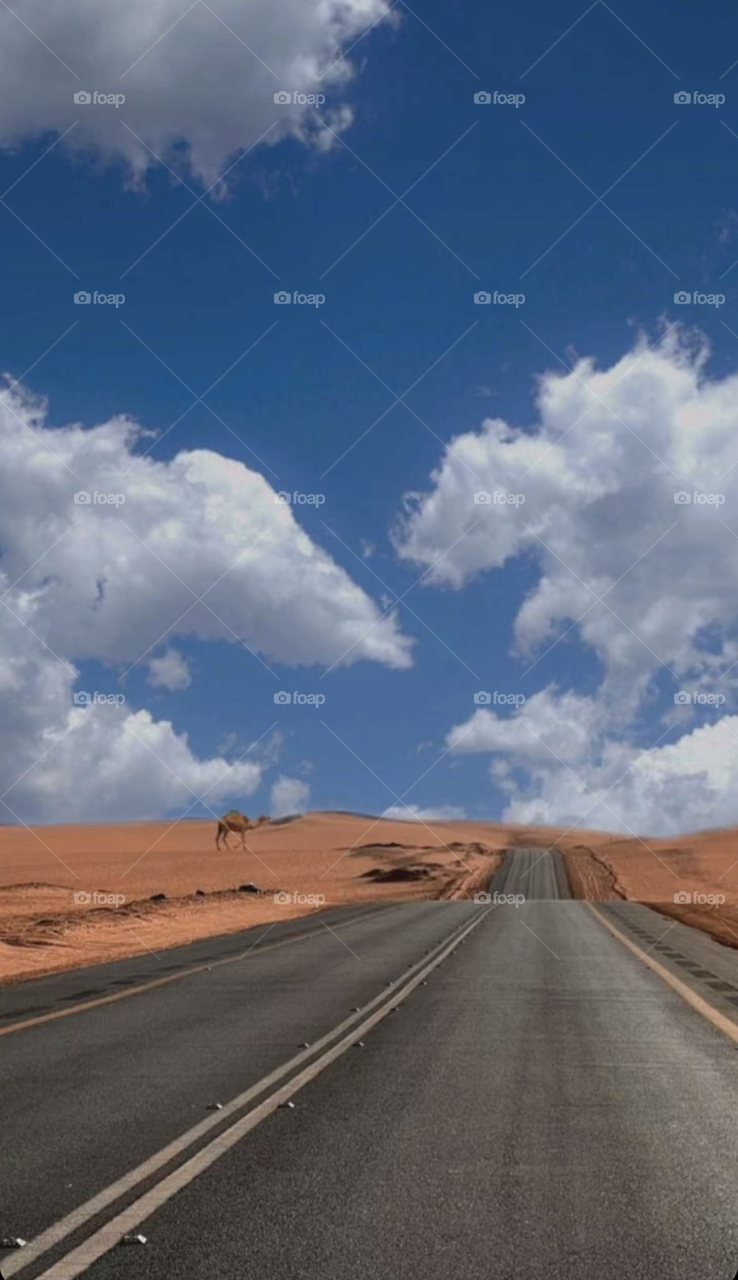 Saudi desert