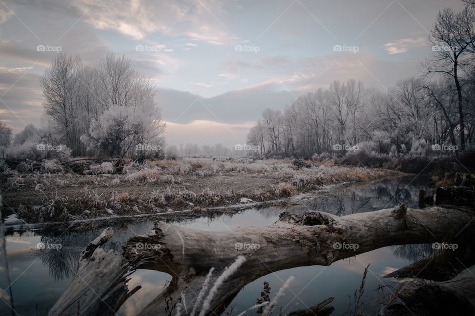 Wintery river