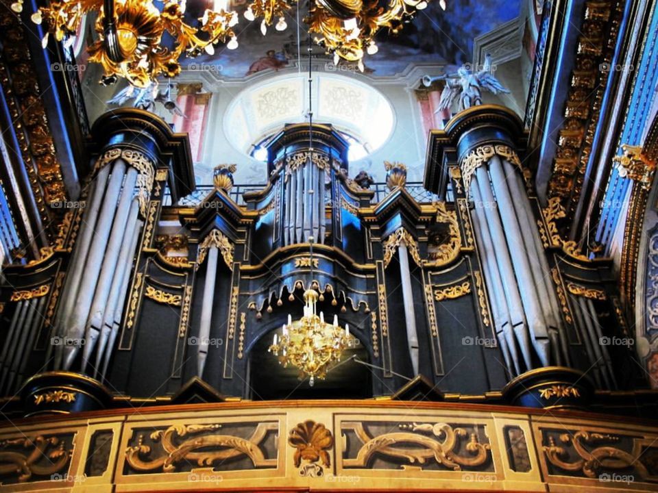 organ instruments