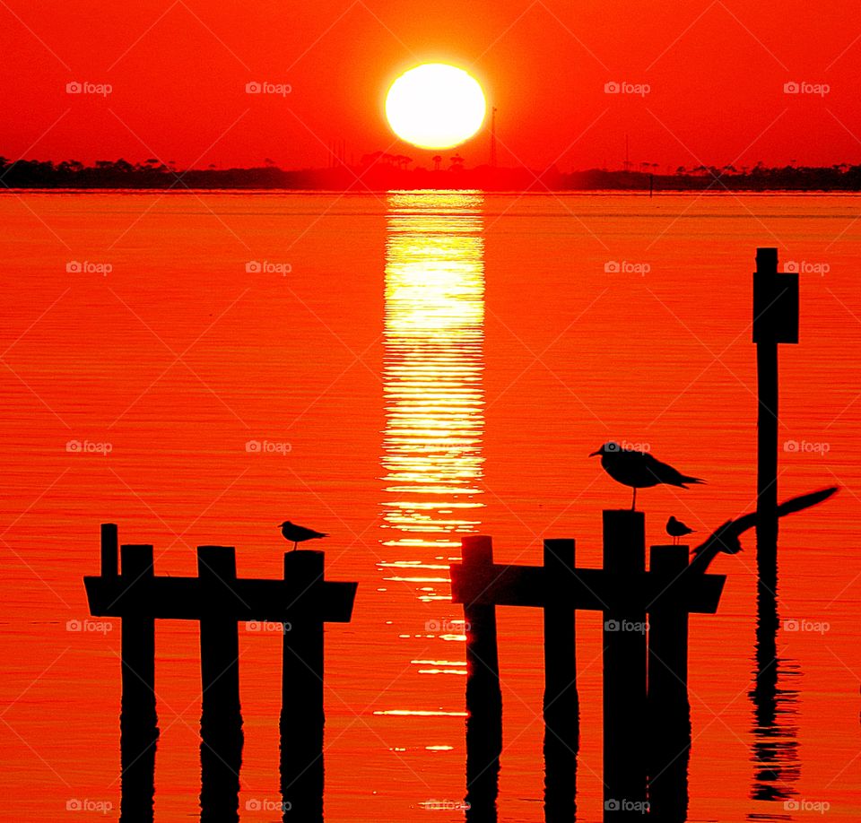 Silhouettes and shadows - Birds resting on the broken pier during the flaming orange sunset and descending round sun