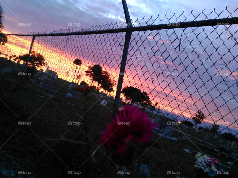 Sunset through the fence.... Shot out my backyard