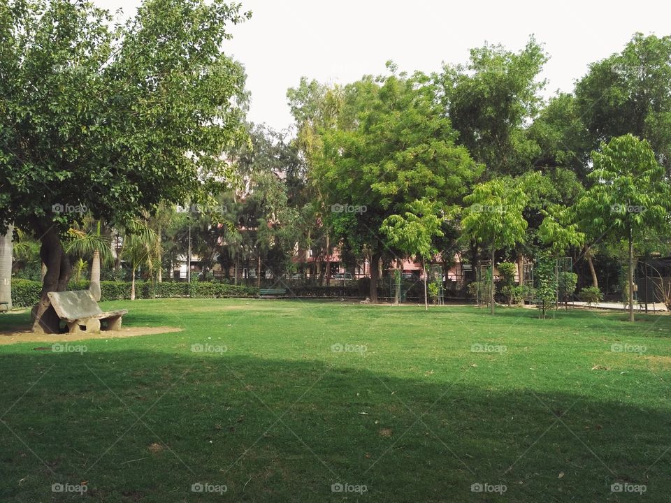 Park Noida sector 12