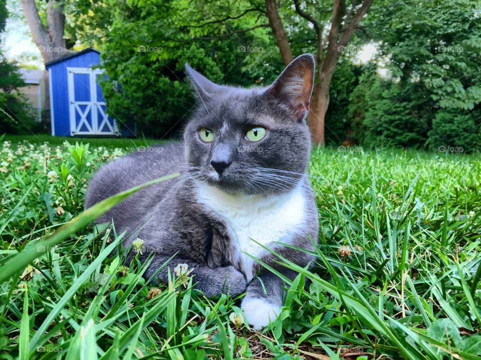 Boots enjoying the great outdoors 