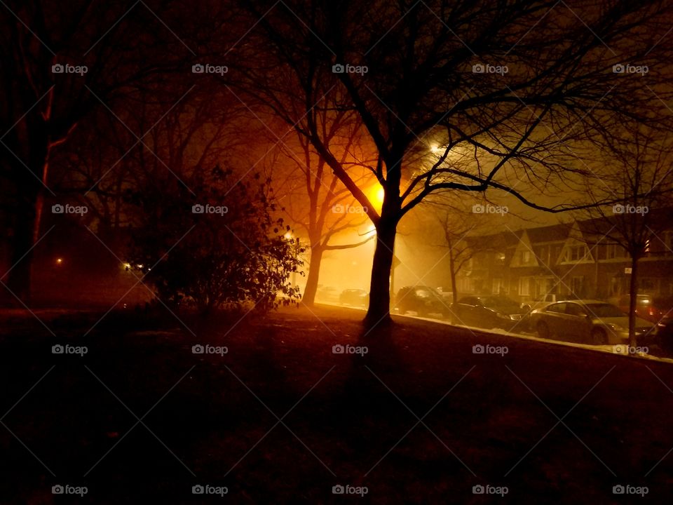 Light, Tree, Fog, Landscape, Backlit