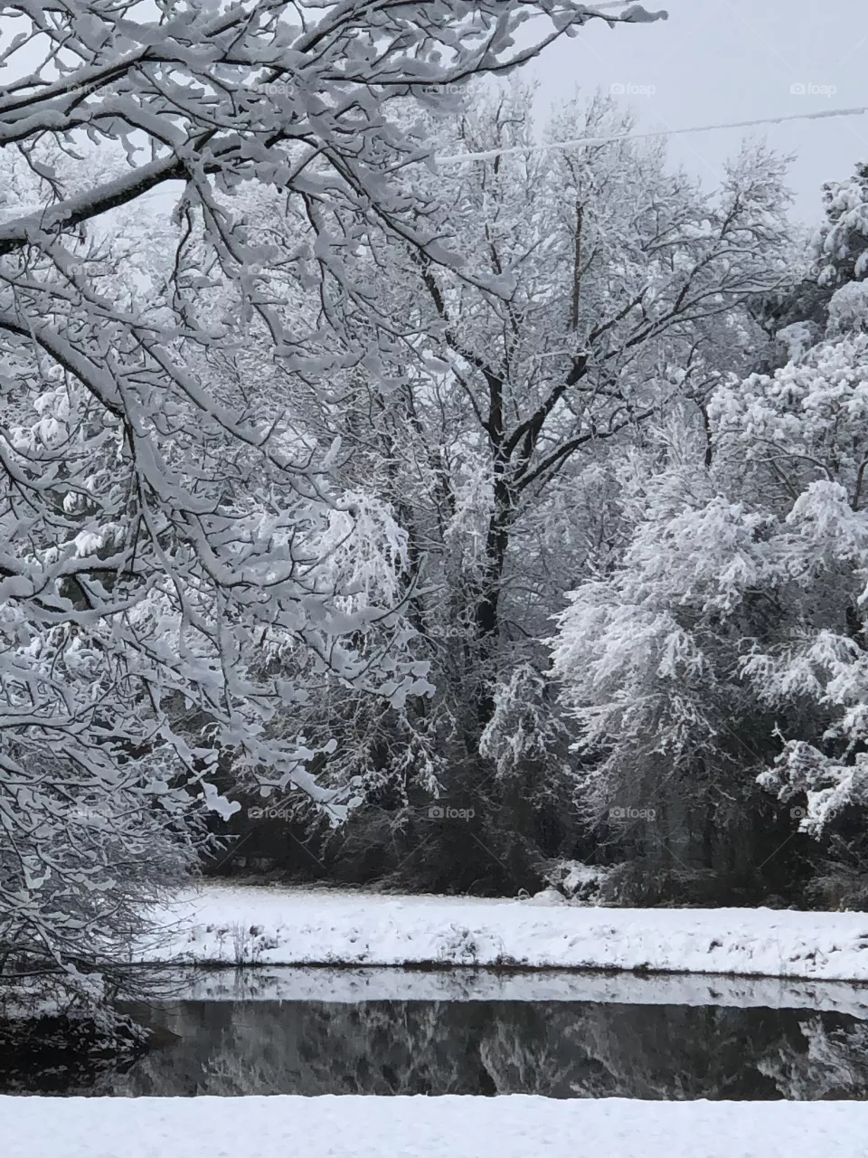 Louisiana Snow 2021