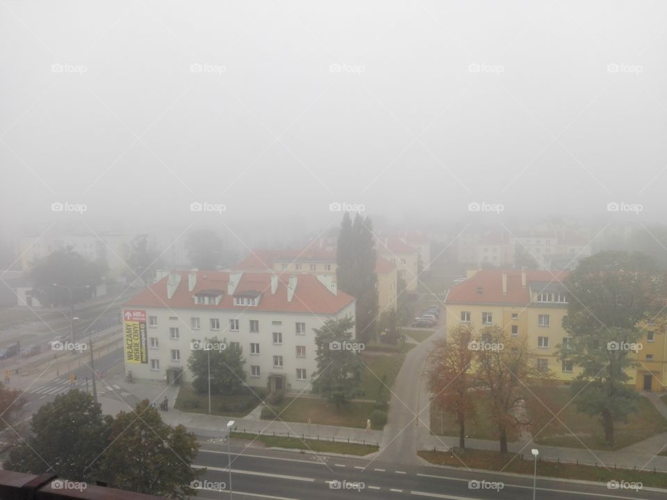 foggy town