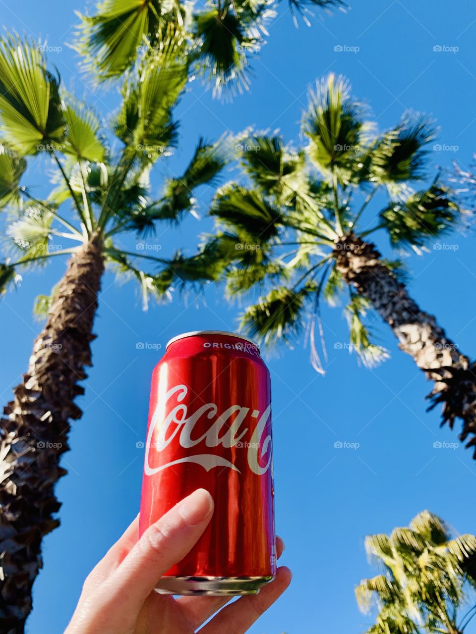 Coke can and palm trees 