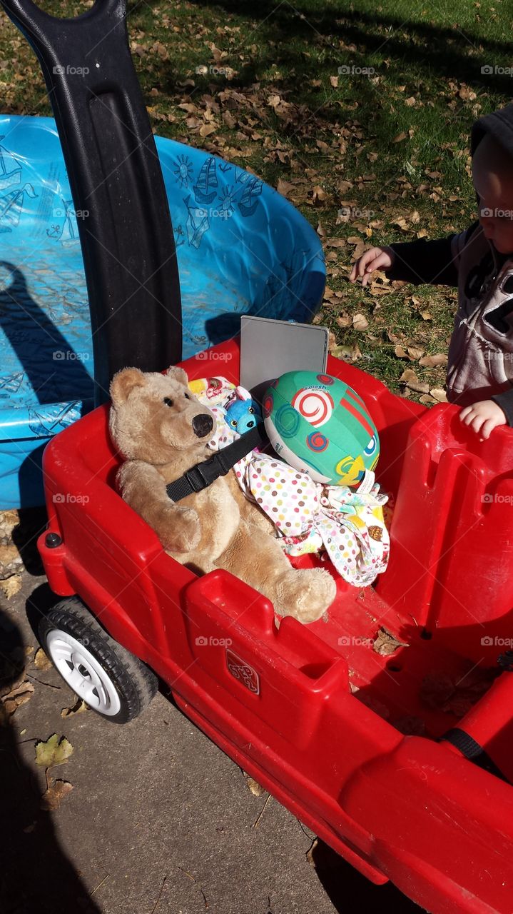 Bear buckled in for the Ride. My grandson made sure his Teddy and blankets were safe for the wagon ride. This Teddy wad his dad's 30 years ago.