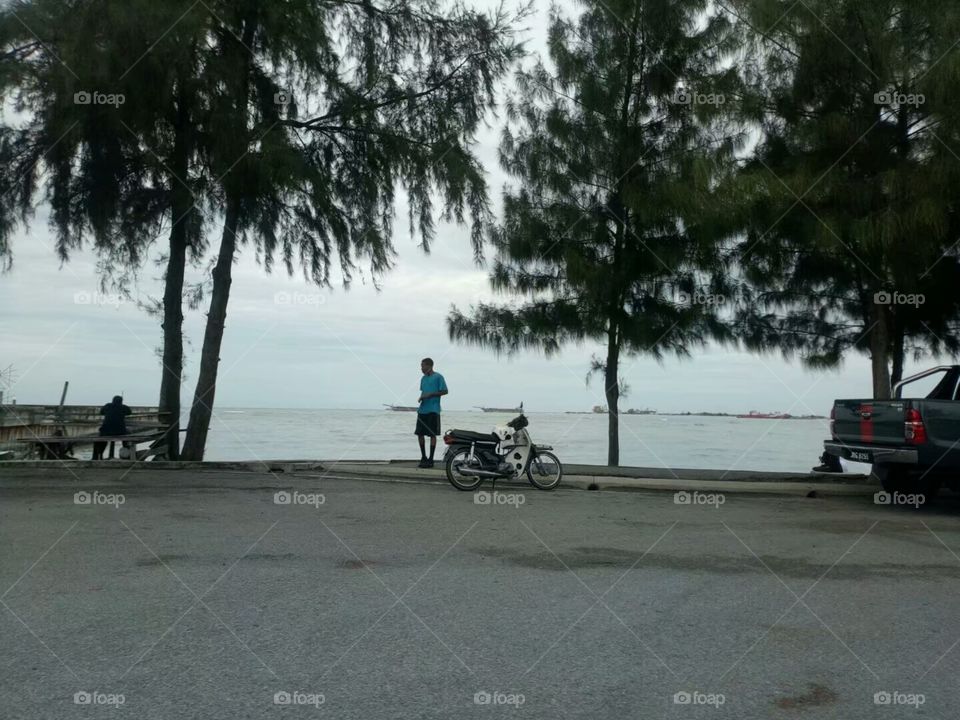Tree, People, Vehicle, Water, Road
