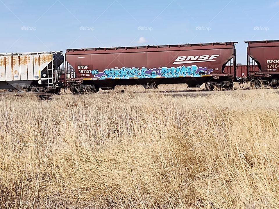 Train Car Graffiti
