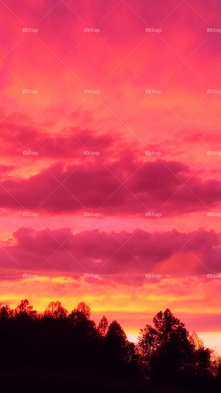 Pink sunset and sky
