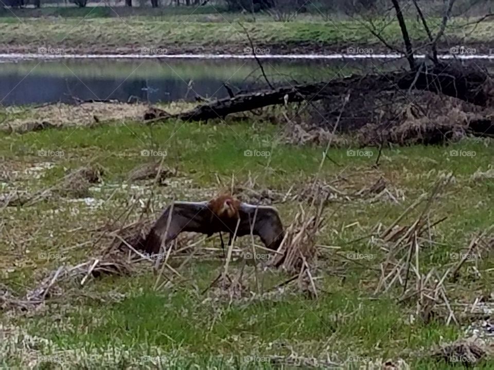 Driving the  back Roads enjoying everything around us