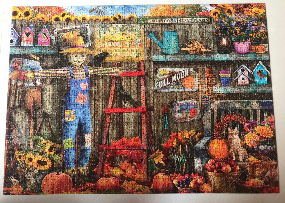Scarecrow puzzle